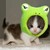 :iconbeautifulllliar: