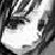 :iconbeautifulsin12345: