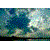 :iconbeautifulsky: