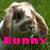 :iconbeautifulsorry: