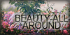 :iconbeauty-all-around: