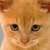 :iconbeauty-art1101: