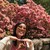 :iconbeautyalia:
