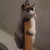 BeautyOfAStarrySky :iconbeautyofastarrysky: