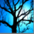 :iconbebakestler: