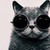 :iconbecauseifeellikeit: