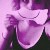 :iconbecauseiwanted: