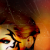 :iconbecbet: