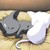 :iconbecca5029: