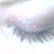 :iconbeccabear89: