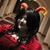 :iconbeccaelric: