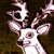 :iconBeccoGecko: