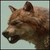 :iconbeckiimarie: