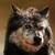 BeckoningSilence :iconbeckoningsilence: