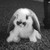 Becks-becks :iconbecks-becks: