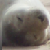:iconbeckstahhh: