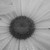 :iconbeckyc123: