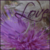 :iconbecreativegraphics: