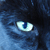 :iconbecurled: