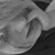 :iconbedtackle: