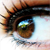 :iconbee-ee: