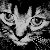 :iconbeebee-huckleberry: