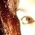 :iconbeebee1: