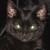 :iconbeebeebunky: