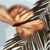 :iconbeechdbum:
