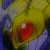 :iconbeedrillabove: