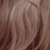 :iconbeehive: