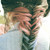 :iconbeeinwonderland: