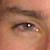 :iconbeejmeister: