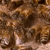beeswarmplz :iconbeeswarmplz: