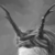 :iconbeethevampire:
