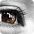 :iconbeeware: