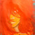 :iconbegorite: