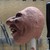 Beguntoo :iconbeguntoo: