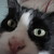 :iconbehappyinyourlife: