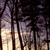 :iconbehemoth0:
