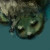 :iconbeigetapsblondecurls: