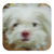 :iconbeinghappy1010: