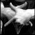 :iconbejita81: