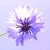:iconbejoes: