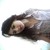 BekkiDavies :iconbekkidavies: