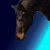 :iconbekkiebbz01: