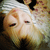 :iconbel-phegor: