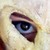 :iconbelarik: