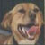 :iconbeleza4ever: