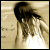 :iconBelfast-Child: